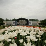 Концерт в кусково на Ночь в музее